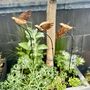 Handmade Copper Bird Garden Sculptures – Set Of Three, thumbnail 6 of 7