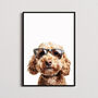 Cockapoo In Sunglasses Print, thumbnail 1 of 8