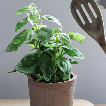 Faux Potted Basil Herb Plant, 3 of 3