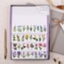 Meadow Flowers Writing Paper Gift Box Set, thumbnail 1 of 4