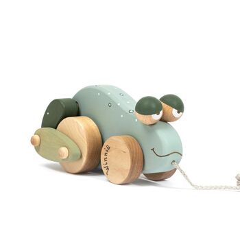 Wooden Pull Along Toy Frog, 7 of 7