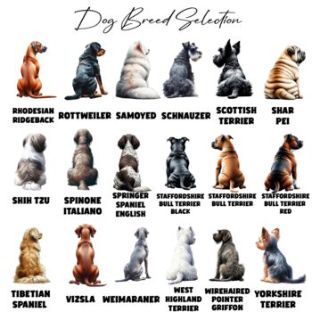 Personalised Dog Summer Beach Walk Collection, 8 of 11