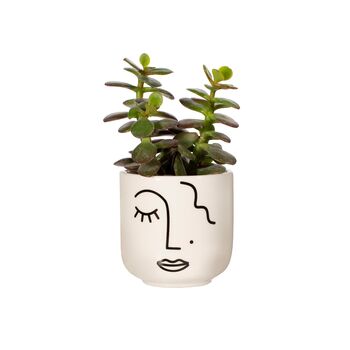 Abstract Face Mini Planter With A Plant, 3 of 3