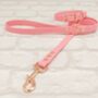 Waterproof Dog Collar And Lead Set Baby Pink, thumbnail 1 of 3