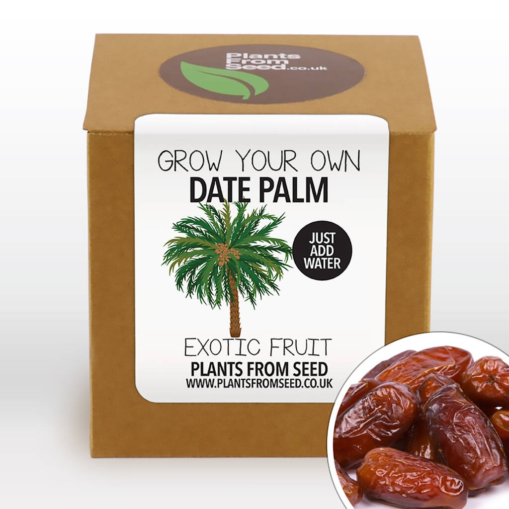 Complete Grow Your Own Date Palm Plant Kit By Plants From Seed