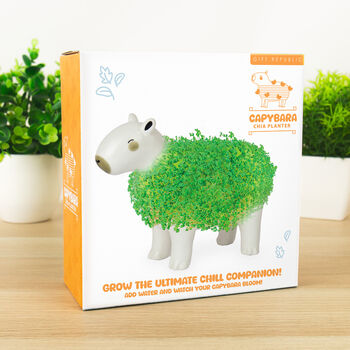 Grow Your Own Capybara Chia Planter, 2 of 5
