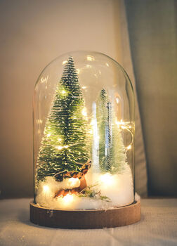 Christmas Terrarium Kit, Glass Dome With Fairy Lights, 5 of 8