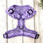 Lilac Leopard Dog Harness, thumbnail 2 of 5