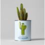 Percy Pricklebum Grow Your Own Cacti Kit Gardening Gift, thumbnail 1 of 7