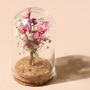 Mini Dried Flower Glass Dome, thumbnail 6 of 8