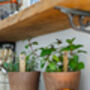 Posh Mojito Herb Collection, thumbnail 8 of 12