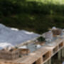 South Downs Wild Foraging Workshop And Afternoon Tea For Two, thumbnail 12 of 12
