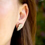 Oak Leaf Birch Stud Earrings With Hypoallergenic Posts, thumbnail 9 of 11