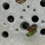 Charcoal Concrete Planter With Bee Hotel Beepot, thumbnail 11 of 11