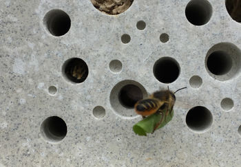 Charcoal Concrete Planter With Bee Hotel Beepot, 11 of 11