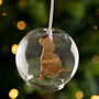 Personalised Memorial Pet Glass Dome Bauble, thumbnail 5 of 5