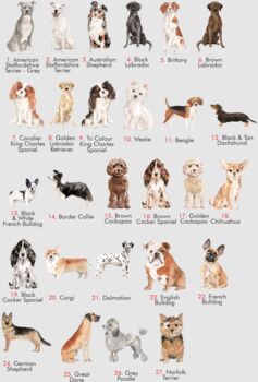 Personalised Dog Walking Drink Bottle Holder Bag, 3 of 7