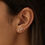 Christmas Sparkle Sterling Silver Crystal Star Earrings, thumbnail 3 of 8