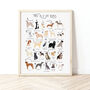The A To Z Of Dogs Print, thumbnail 1 of 6