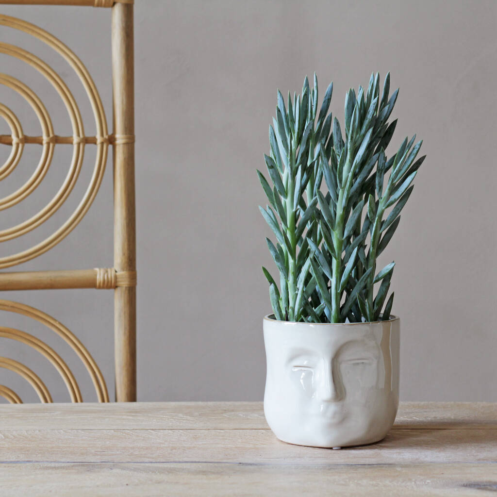 White 'abstract' Face Planter By Sophie Macbain