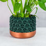Forest Transform Planter, thumbnail 1 of 4