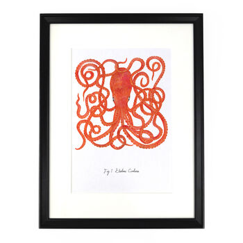 Octopoda Octopus Art Print, 6 of 9