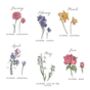 Personalised Family Birth Month Flower Bunch Print, thumbnail 4 of 5