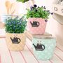 Set Of Three Pastel Watering Can Planters, thumbnail 1 of 9