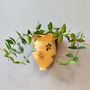 Ceramic Wall Planter Handmade Hanging Plant Pot, thumbnail 3 of 9
