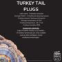Turkey Tail Mushroom Plug Spawn. Buy Mushroom Dowels, thumbnail 4 of 4