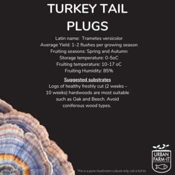 Turkey Tail Mushroom Plug Spawn. Buy Mushroom Dowels, 4 of 4