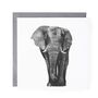 Elephant Blank Greeting Card, thumbnail 2 of 6