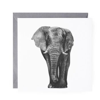 Elephant Blank Greeting Card, 2 of 6