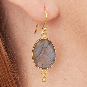 Labradorite Drop 18 K Gold And Silver Earrings, 5 of 5