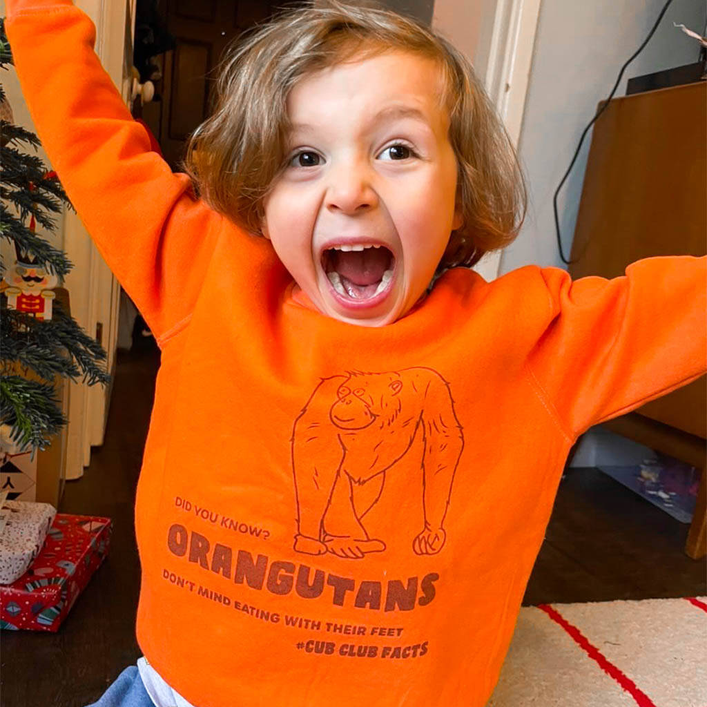 Children's Orangutan Fact Sweatshirt Or Tee, 1 of 3