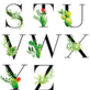 Personalised Succulent Cactus Name Print, thumbnail 6 of 6