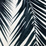 White Tropical Design Pillow Cover With Palm Leaves, thumbnail 2 of 6