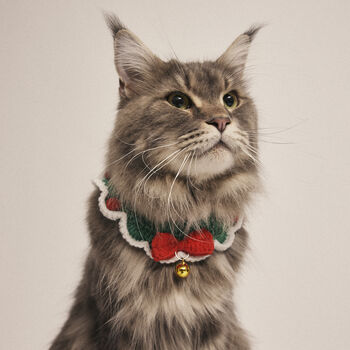 Crocheted Christmas Pet Collar, 8 of 8