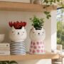 Sleeping Cat Plant Pots, thumbnail 1 of 4