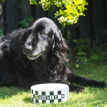 Personalised Dog Bowl, 3 of 4