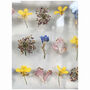 Mixed Pressed Flower Frame, thumbnail 5 of 11