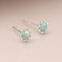 Tiny Sterling Silver Green Opal Stud Earrings, thumbnail 4 of 8