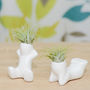 Mini Ceramic Figure Plant Holder With Air Plant, thumbnail 3 of 4