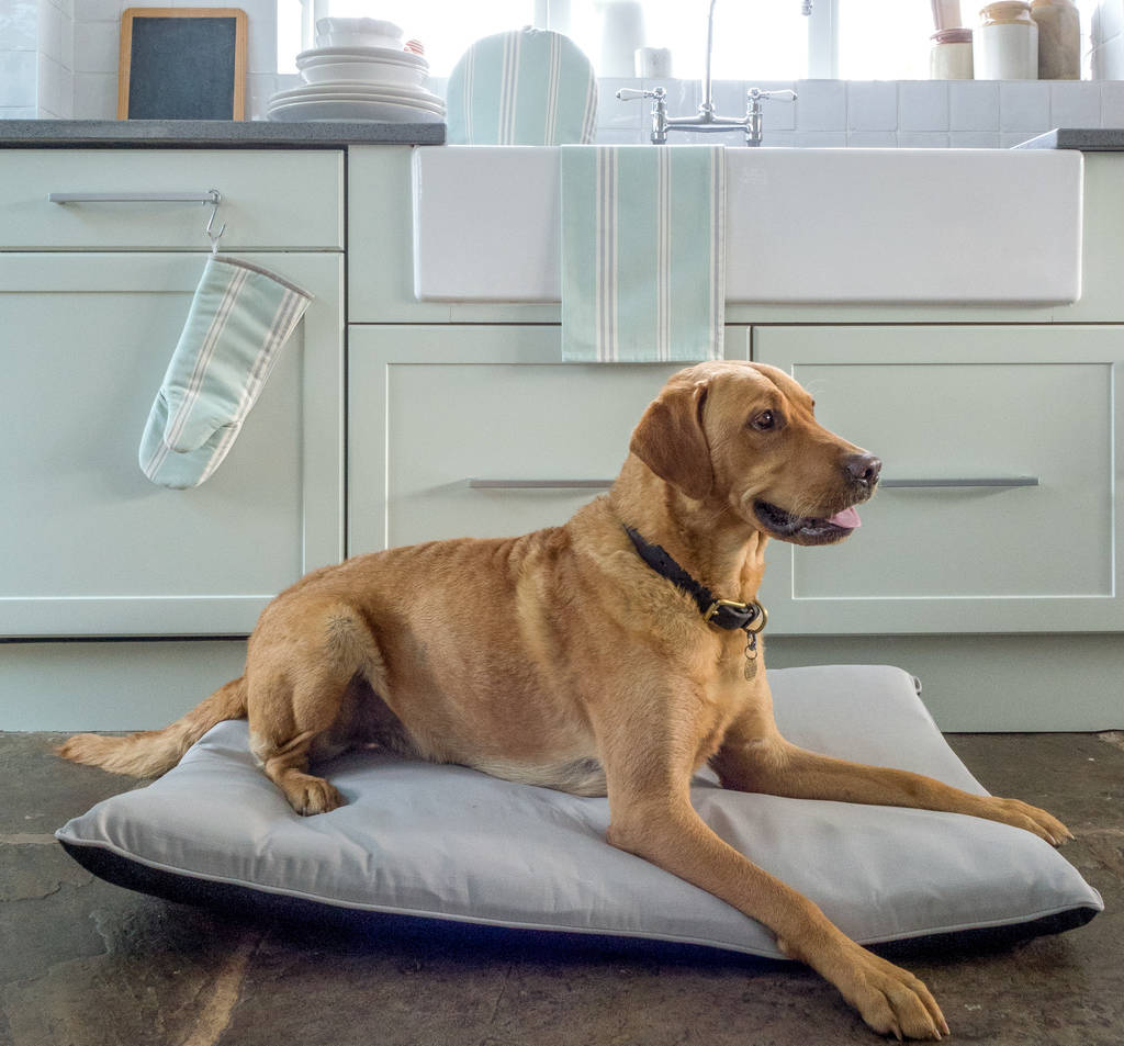 plain grey mattress dog bed with recycled fill by cottage in the hills