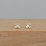 Gold Plated And Cz Mini Flower Stud Earrings, thumbnail 1 of 2