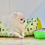 Moomin, Green Leaves Dog Bed, thumbnail 4 of 6