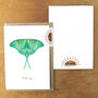 Luna Moth Butterfly A6 Greetings Cards, thumbnail 3 of 7