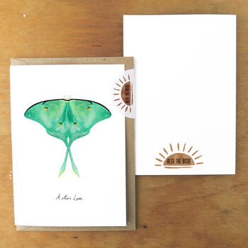 Luna Moth Butterfly A6 Greetings Cards, 3 of 7