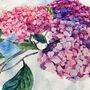 Hydrangea Floral Cushion Covers Blue And Pink Colours, thumbnail 2 of 7