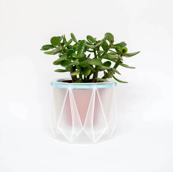 Origami Self Watering Eco Plant Pot: 15cm | Blue Cord, 8 of 9